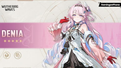 Wuthering Waves Denia Build Guide cover