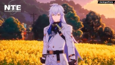 Baicang build guide in Neverness to Everness