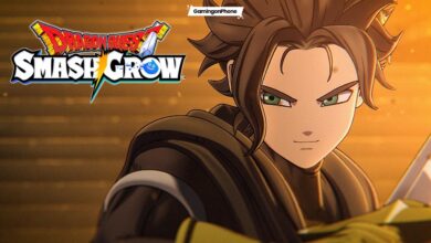 Dragon Quest Smash_Grow Beginners Guide