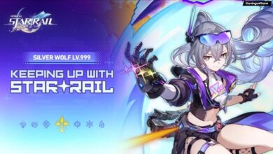 Honkai Star Rail Silver Wolf Lv 999 Build Guide