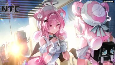 Neverness to Everness Chiz Build