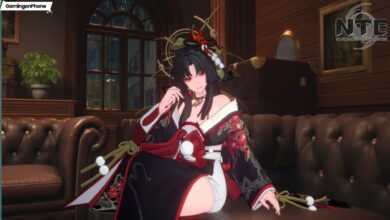 Neverness to Everness Hotori Build Guide