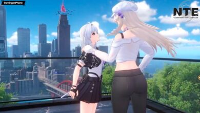 Neverness to Everness Interaction Feature