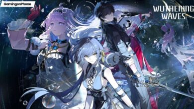 Wuthering Waves 2nd Anniversary Fest announcement