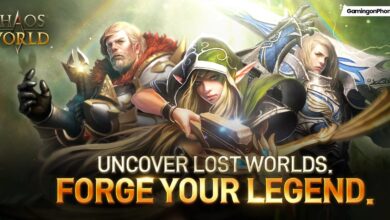 Chaos W Pre-registration Cover