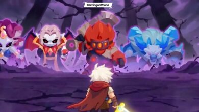 Dicero Beginners Guide Cover