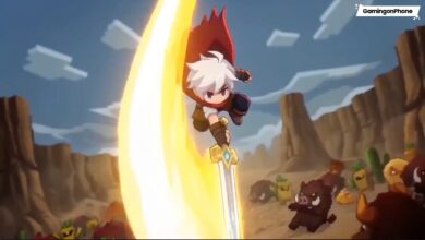 Dicero Customer Support Guide Cover