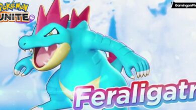 Pokémon Unite Feraligatr Guide Cover