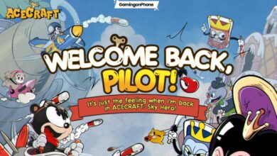 ACECRAFT US Return Cover