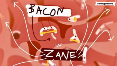 Bacon in Zane Indie Spotlight Cover