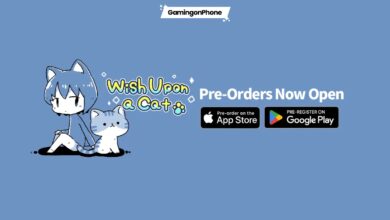 Wish Upon A Cat Launch Cover